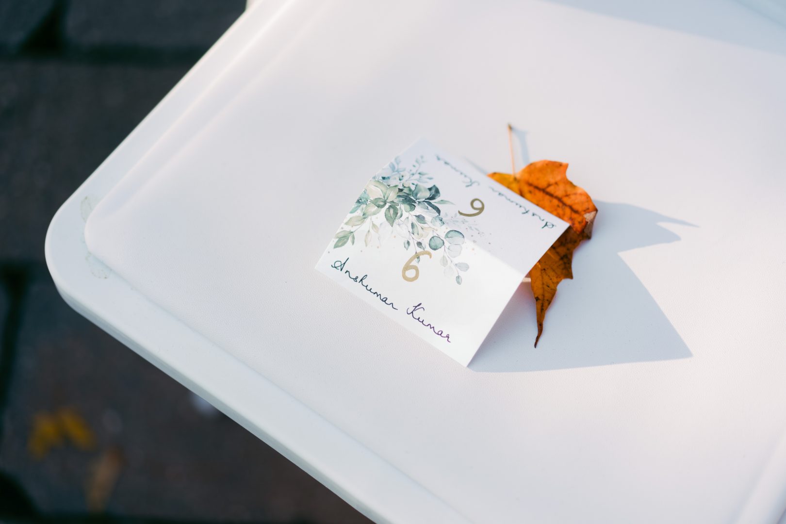 Indian Wedding at Royal Ambassador Banquet Wedding Photo 16