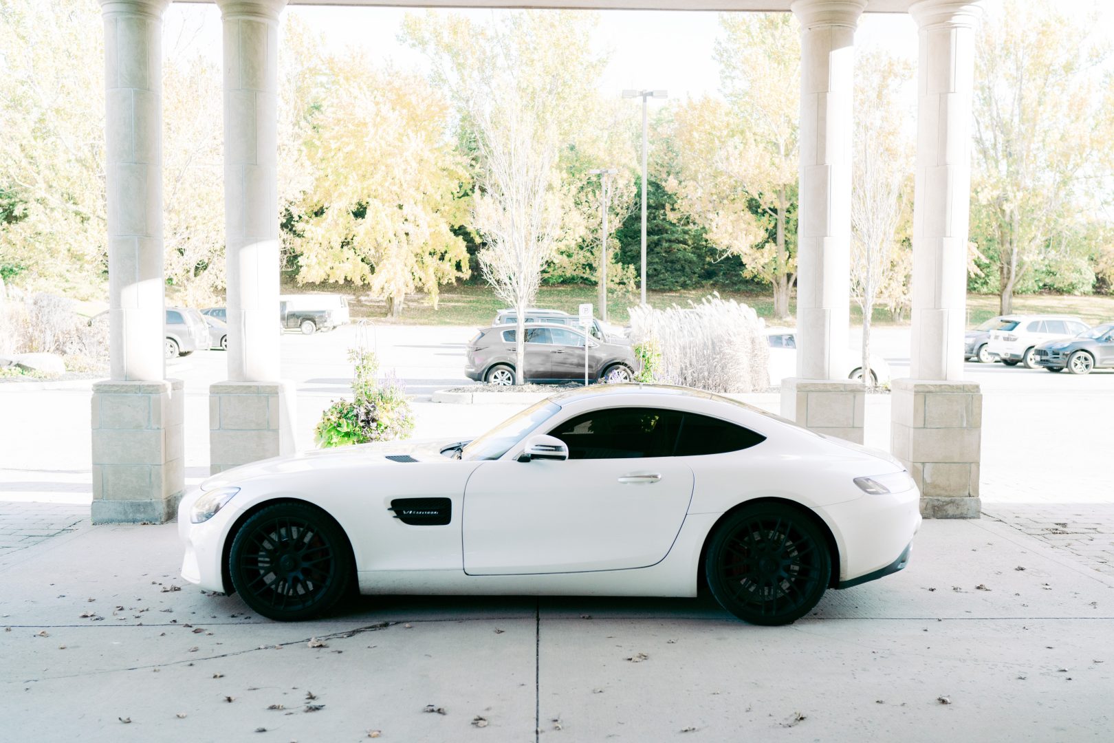 Indian Wedding at Royal Ambassador Banquet Wedding Photo 64