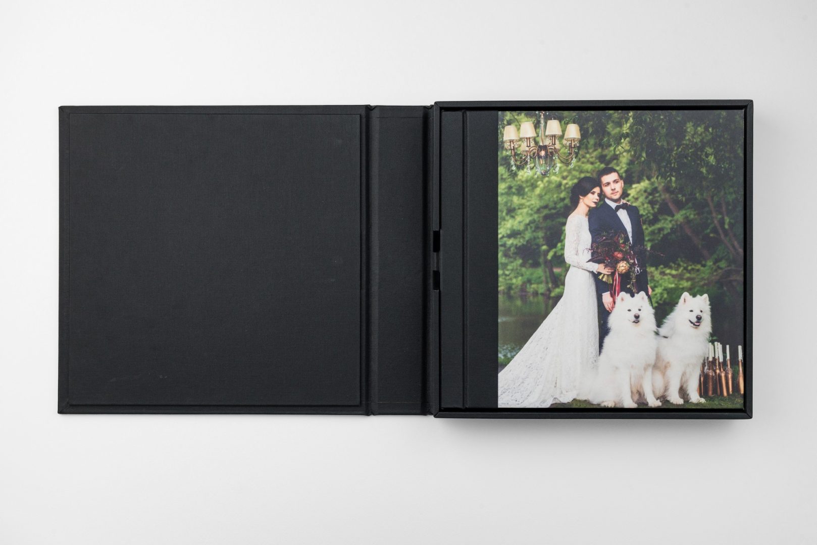 Albums Wedding Photo 10