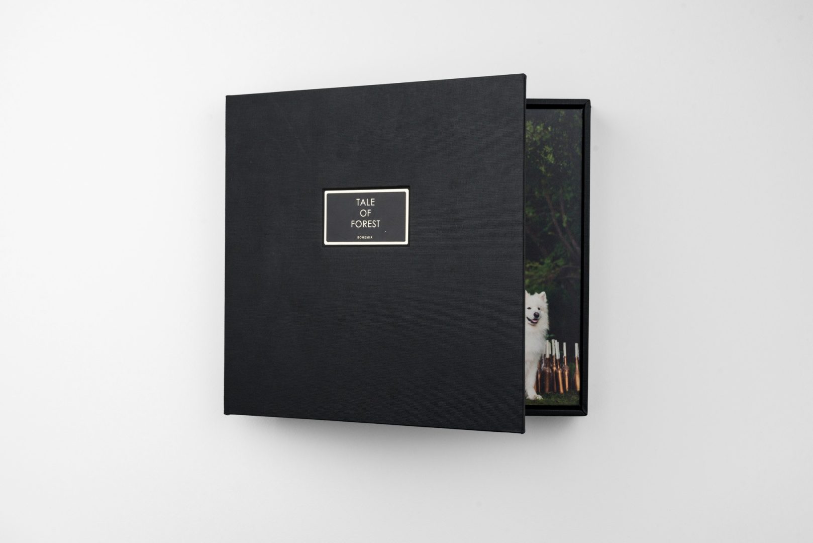 Albums Wedding Photo 9