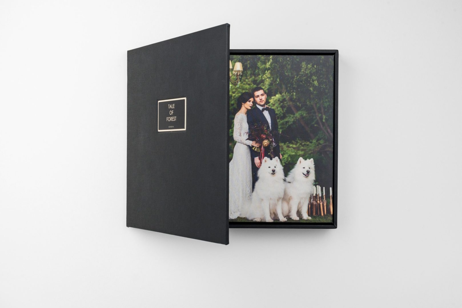 Albums Wedding Photo 7